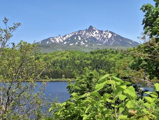 IMG_0224.jpeg