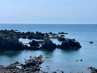 IMG_0225.jpeg