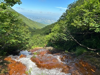 IMG_1722.jpeg