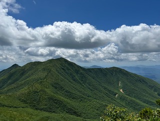 IMG_1869.jpeg