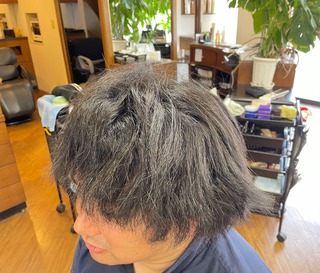 IMG_2950.jpeg