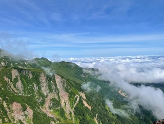 IMG_3360.jpeg