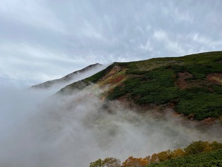 IMG_3930.jpeg