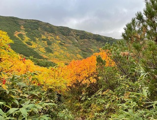 IMG_4211-778c0.jpeg
