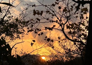 IMG_4883-1f9e5.jpeg