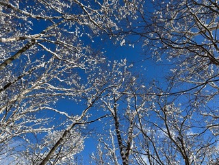 IMG_5459.jpeg