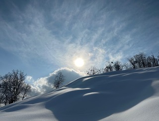 IMG_6561.jpeg