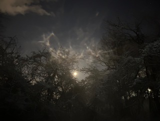 IMG_7315-207b3.jpeg