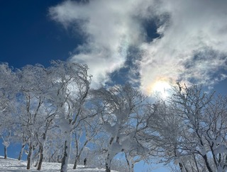 IMG_7679.jpeg
