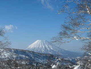 IMG_7738.jpeg